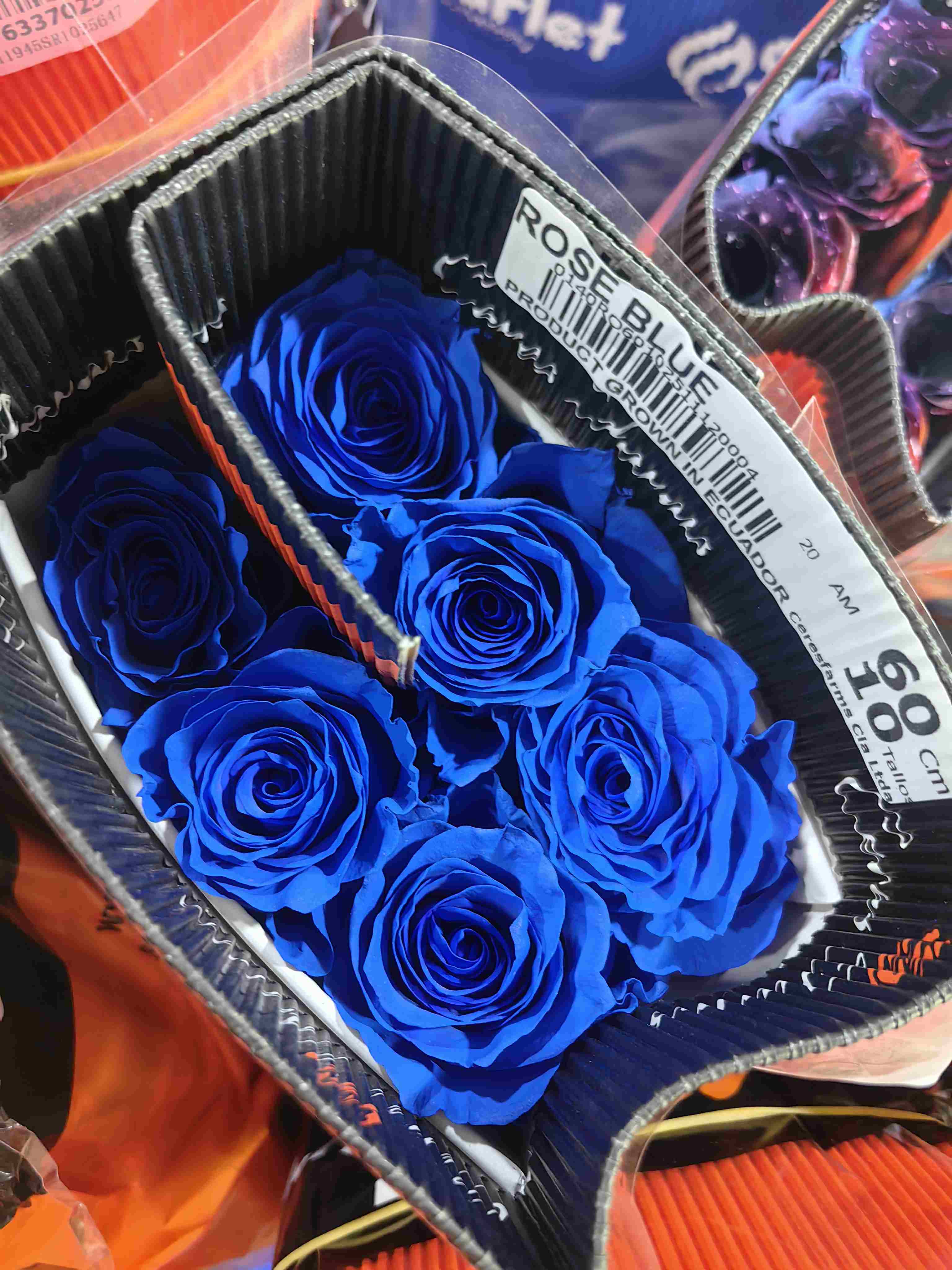 厄瓜多尔染色玫瑰rose blue蓝色妖姬10支