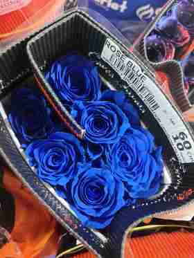 厄瓜多尔染色玫瑰rose blue蓝色妖姬10支