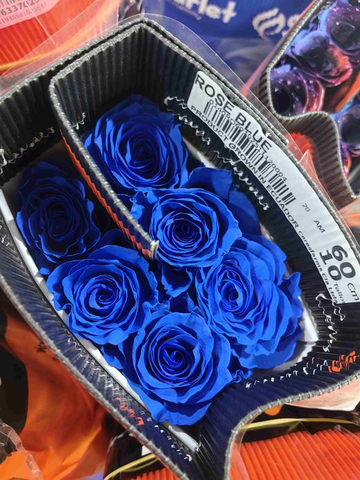 厄瓜多尔染色玫瑰rose blue蓝色妖姬10支 商品图0