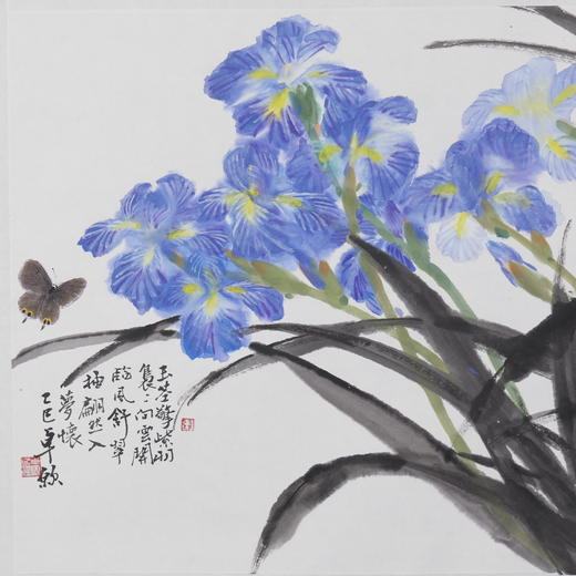 卓愿《鸢尾花》45.5x70CM 手绘纸本宣纸国画作品 商品图3