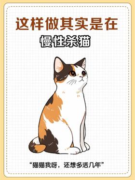 这6个行为正在悄悄伤害你家猫