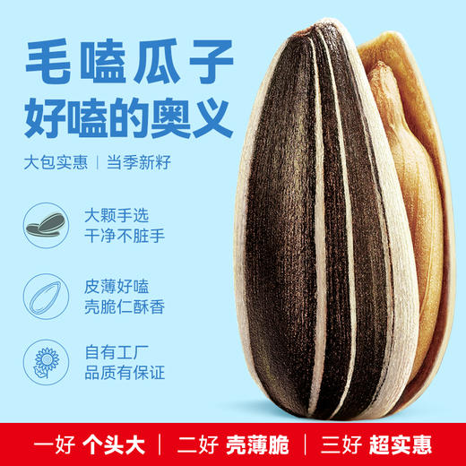 【长期集采】毛嗑五香瓜子500g 商品图2