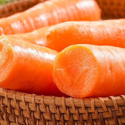 胡萝卜 1根 商品图4