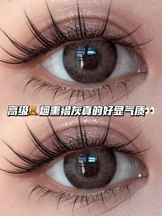 oud wood美式烟熏灰褐·日抛·六片装 商品图0