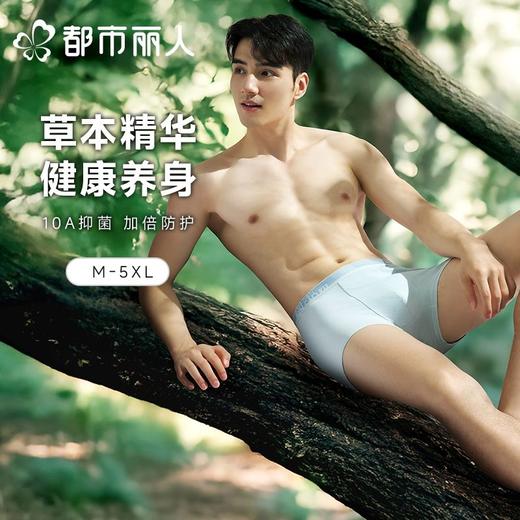 都市丽人男士男士内裤50S水柔棉平角裤明筋棉平角FKCC02 商品图0