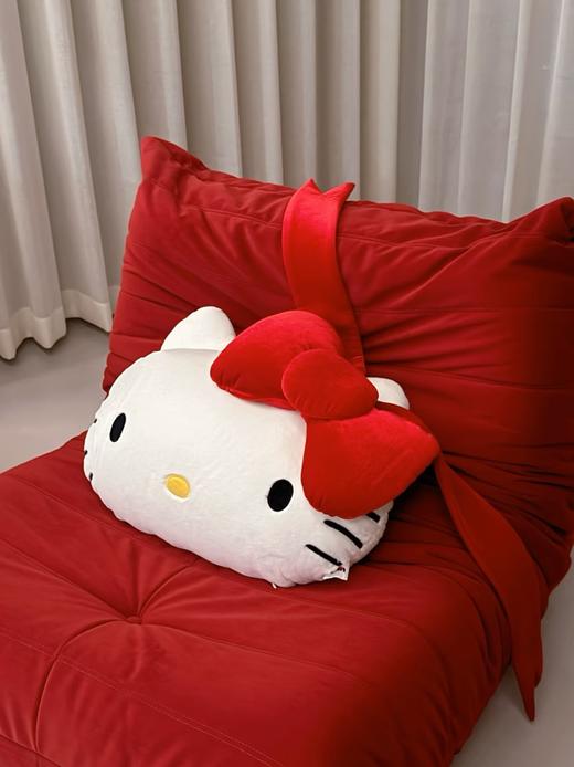 D112537二合一法兰绒抱枕毛毯黑皮豹纹组合毯靠垫 商品图13