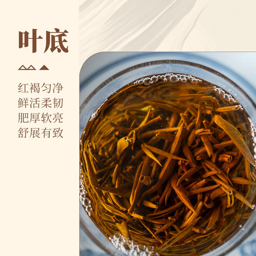 【甘活坊】金骏眉50g 商品图4