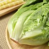 罗马生菜 1颗 商品缩略图4