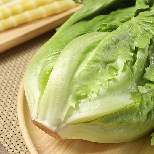 罗马生菜 1颗 商品图4