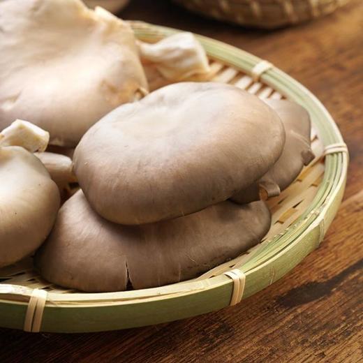 平菇 300g 商品图2