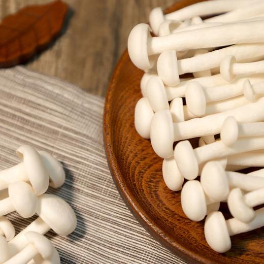 海鲜菇 250g 商品图1