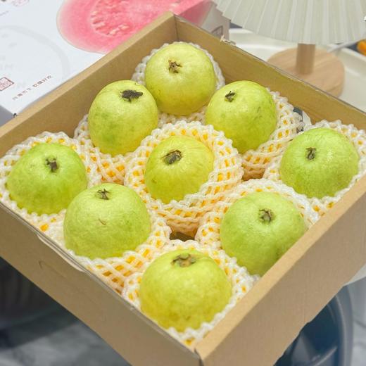 疯抢中！！现摘现发【中国台湾改良版·红心奶油芭乐】营养丰富 果肉软糯 柔嫩多汁 精美包装/礼盒装 商品图12