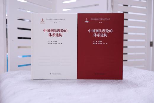 中国刑法理论的体系建构（马克思主义法学中国化时代化丛书·第一辑；国家出版基金项目） 商品图1