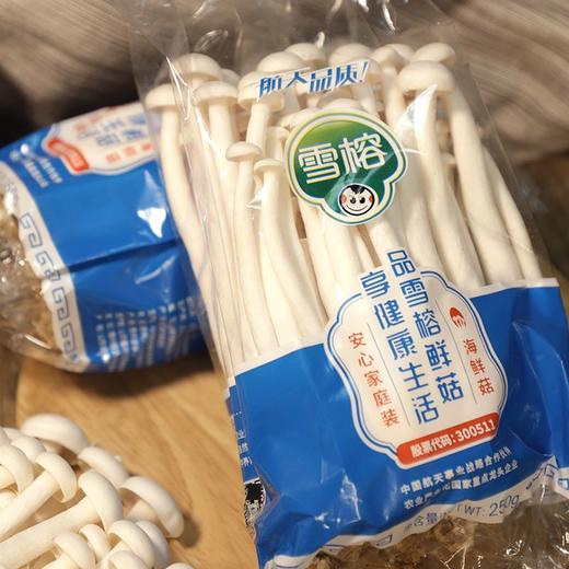 海鲜菇 250g 商品图4