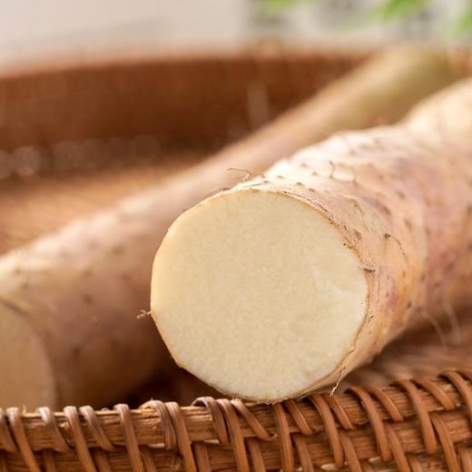 铁棍山药 1根 商品图2