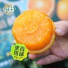 【京东快递】秭归九月红脐橙 专属于秋天的【甜】皮薄肉满 无籽无渣  糖度高达12° 9分甜1分酸10分香 BCS 商品缩略图6