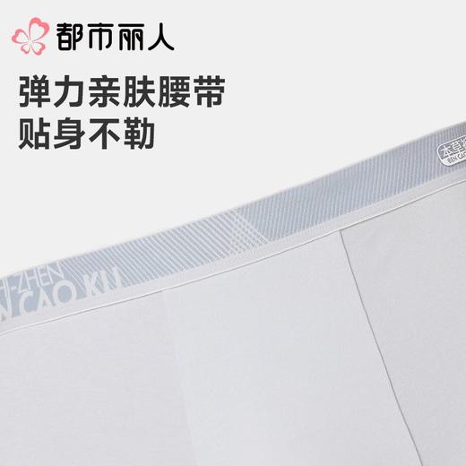 都市丽人男士男士内裤50S水柔棉平角裤明筋棉平角FKCC02 商品图6