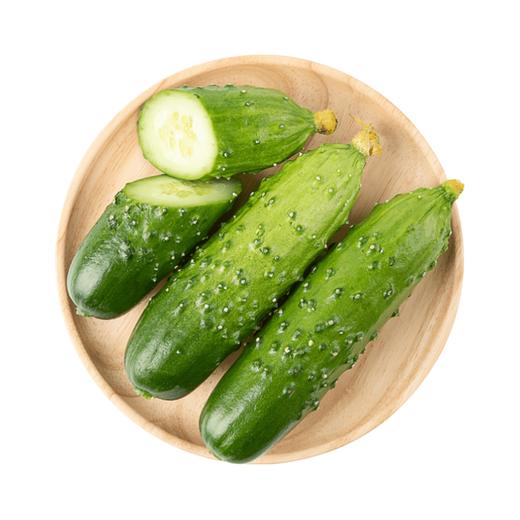 旱黄瓜 1根 商品图0