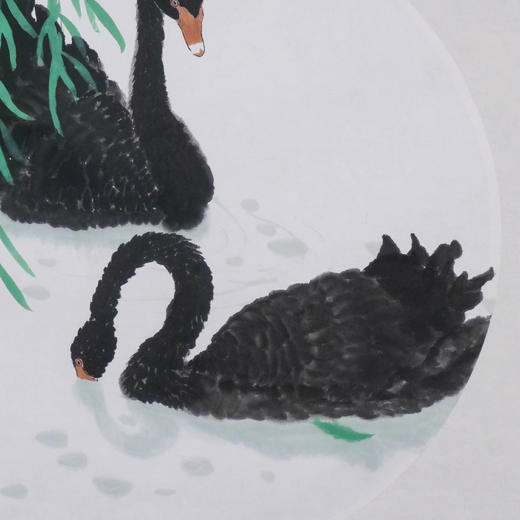 卓愿《悠游春水》47.5x47.5CM 手绘纸本宣纸国画作品 商品图2