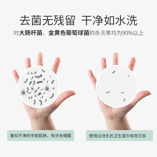 华西20251119-诗乐氏卫生湿巾10片/一包 商品图3