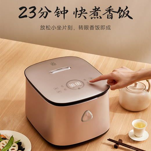 三角牌天香IH球釜内胆智能饭煲TB-FC3001Y 商品图2