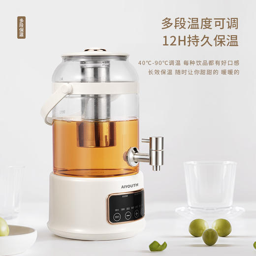 AIYOUTH艾青春3升大容量养生壶  AI-YSH888（带滤网） 商品图3