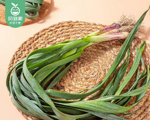 【叼鲜蔬】闽南古宅红头蒜苗/1份（约100g） 商品图3