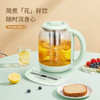 AIYOUTH艾青春养生壶AI-YSH818（带滤网） 商品缩略图0