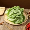 罗马生菜 1颗 商品缩略图1