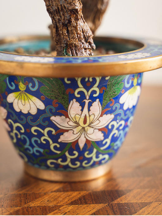 【已售】独角鹿西洋古董20世纪中国创汇时期出品宝相花纹样景泰蓝盆装饰「傲霜玉茗」珍宝像生盆景 商品图5