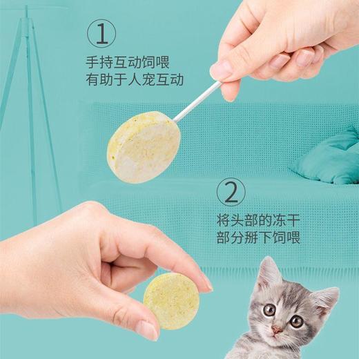 朗诺冻干棒棒糖混合口味3袋-猫用 4.2g 商品图3