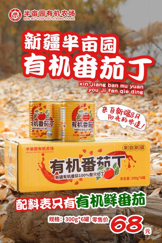 半亩园新疆有机番茄丁 净重300g*6罐 商品图0