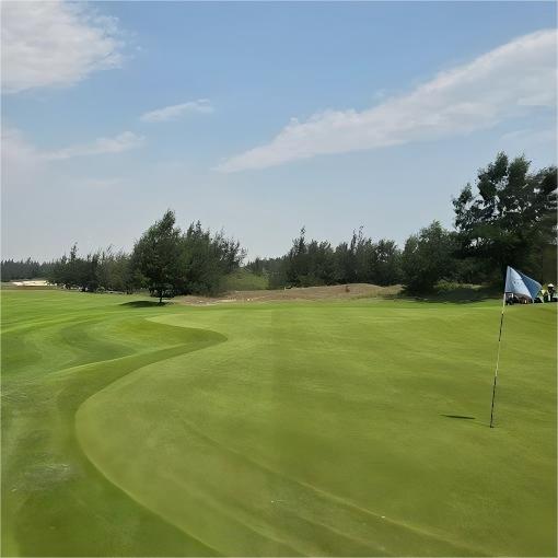 越南FLC广平海滩高尔夫度假村  FLC Quang Binh Beach Golf Resort  | 广平高尔夫球场 | 越南高尔夫球场俱乐部 | 东南亚 商品图4