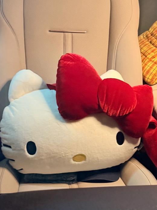 D112537二合一法兰绒抱枕毛毯黑皮豹纹组合毯靠垫 商品图8