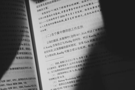 《德国民事诉讼法（第十六版）》赠讲座 商品图7