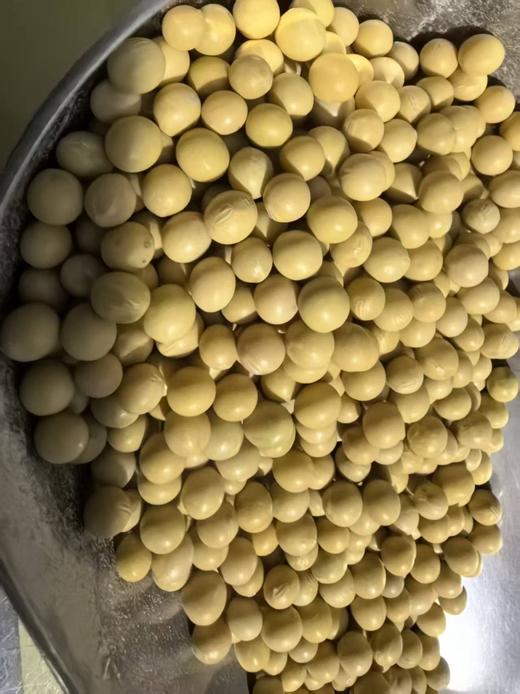 黄豆红豆黑豆绿豆 商品图8