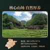 岩语 鉴山鸡公岩老枞水仙礼盒装 特级正宗武夷山正岩茶叶51g 商品缩略图3