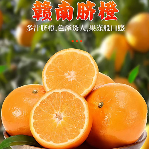 预售第三批：（12月22日到仓）石家庄优选仓库速达，畅销十二年，正宗赣南脐橙，橙子味十足，皮薄多汁，橙香浓郁，净重8斤礼盒装，黄金尺寸（75-85果径）随机发 商品图4