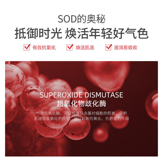 LK 人参SOD蜜 100g 商品图6
