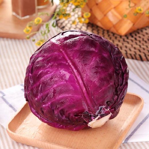 紫甘蓝 1颗（次日达/配送到家） 商品图1