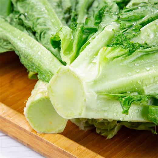 油麦菜 200g 商品图4