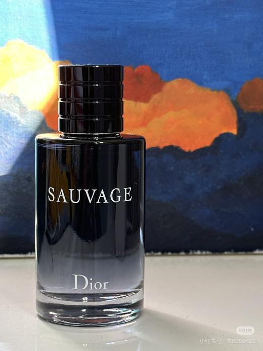 Dior克丽丝汀迪奥旷野男士淡香水 商品图0