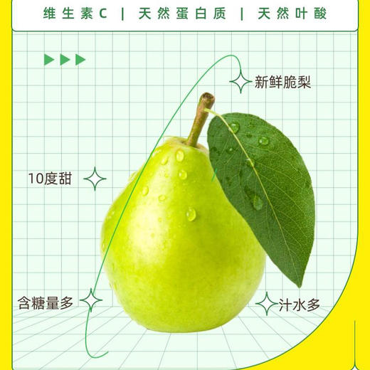 [买2送1]原榨砀山梨膏小勺酥梨枇杷罗汉果营养冲饮干净便携10支装 一勺梨膏 商品图5