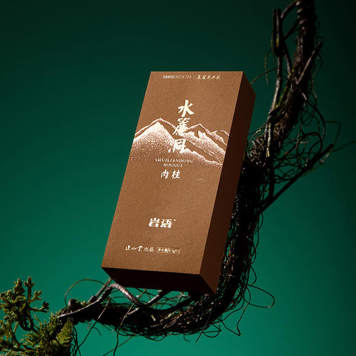 岩语 鉴山水帘洞肉桂 正岩茶叶礼盒装特级武夷山岩茶送礼51g 商品图6