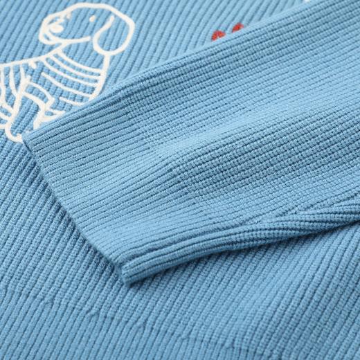 D112526刺绣针织衫宽松女2025秋冬季新款设计感休闲长袖毛衣 商品图12