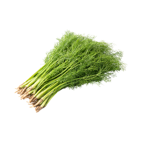 茴香 300g（次日达/配送到家）