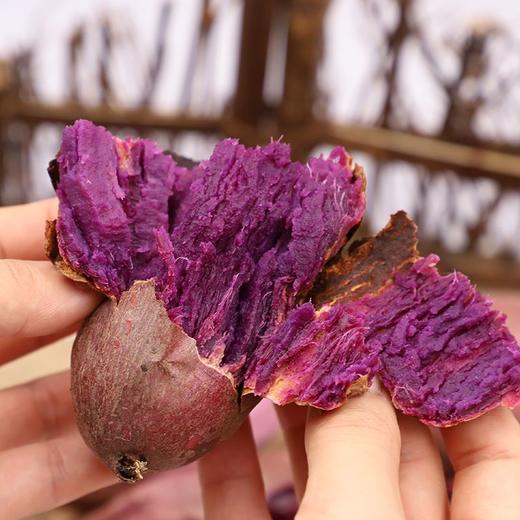 紫薯 500g 商品图3