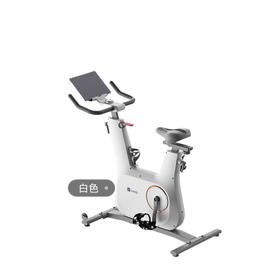 Keep动感单车 家用智能健身器材C2 Lite自发电 20斤飞轮组 白K0105B【KLJJZQ15.0】