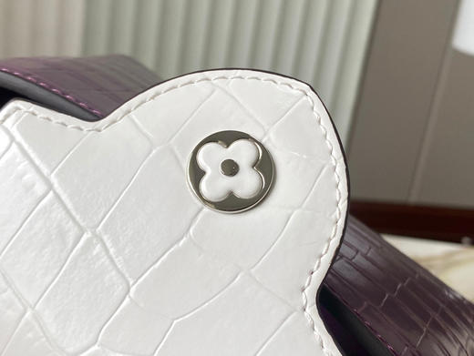 秋冬特惠💰1450 渠道级LV te级LV 全套包装 N94227/M48865紫拼色鳄鱼纹 商品图7