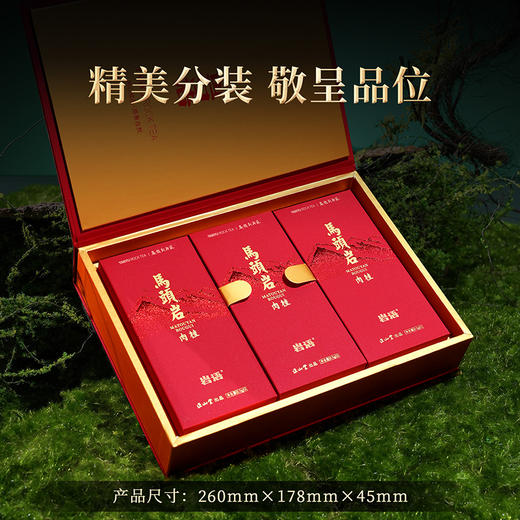 岩语 鉴山马头岩肉桂礼盒装 特级武夷岩茶中火乌龙茶 正岩系列送礼51g 商品图1